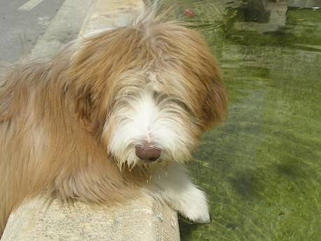 6 meses 6 meses